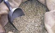 Granos de café