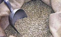 Granos de café