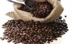 Granos de café