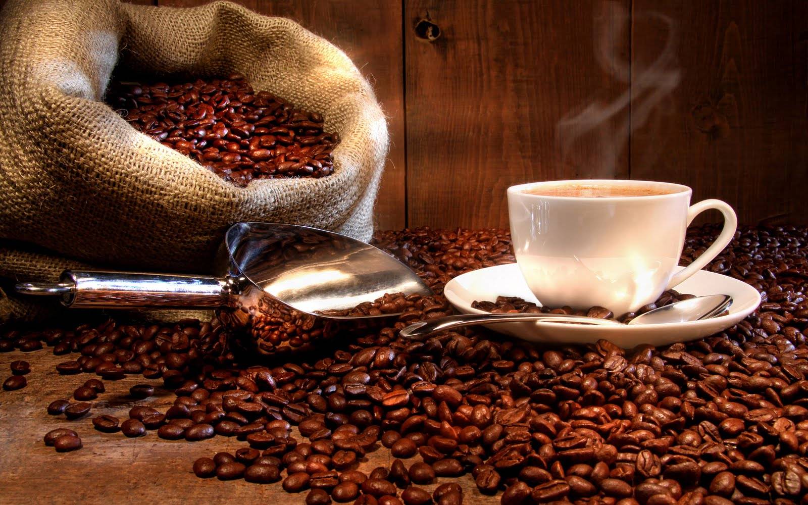 Café para restaurantes en Valencia Café para restaurantes en Valencia