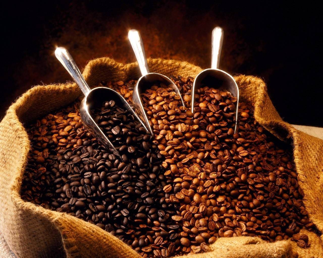 Proveedores de café en Valencia Proveedores de café en Valencia