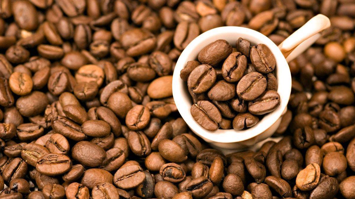 Los principales distribuidores de café en Valencia