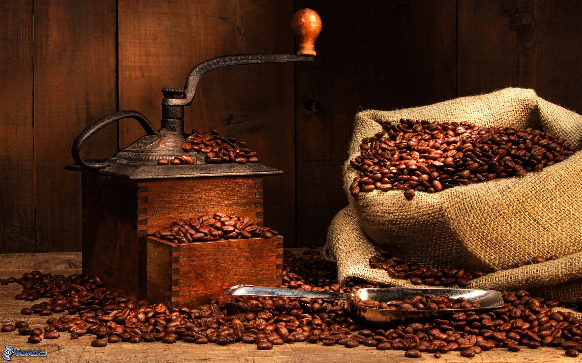 Proveedores de café para la hostelería en Valencia