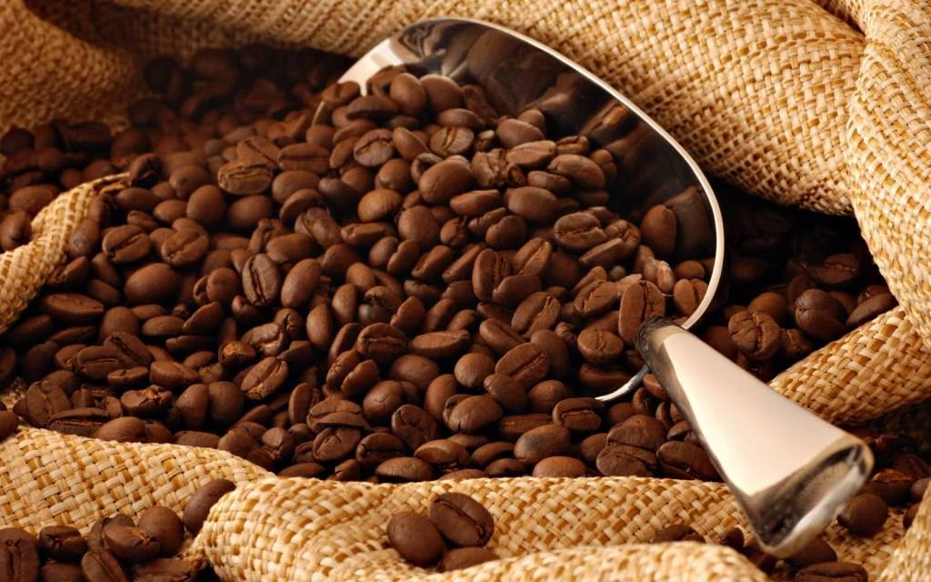 Café al por mayor Valencia