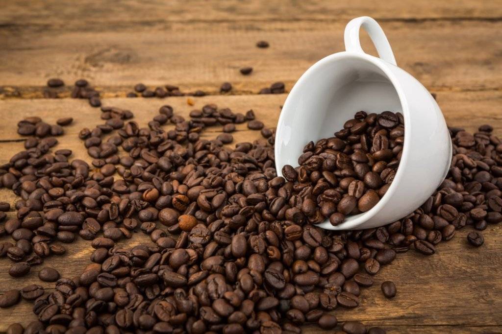 Café para restaurantes Valencia Café para restaurantes Valencia