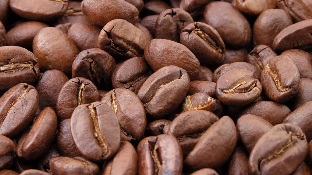 Servicios de venta de café Valencia