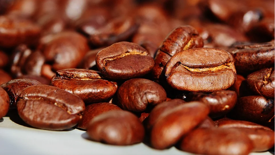 Distribuidores de café de gran calidad