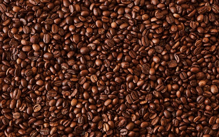 Proveedores de café de calidad