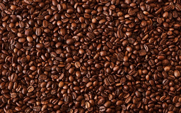 Proveedores de café de calidad Proveedores de café de calidad