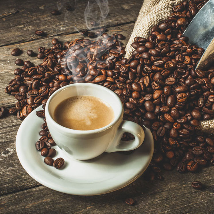 Café para hostelería Valencia de calidad