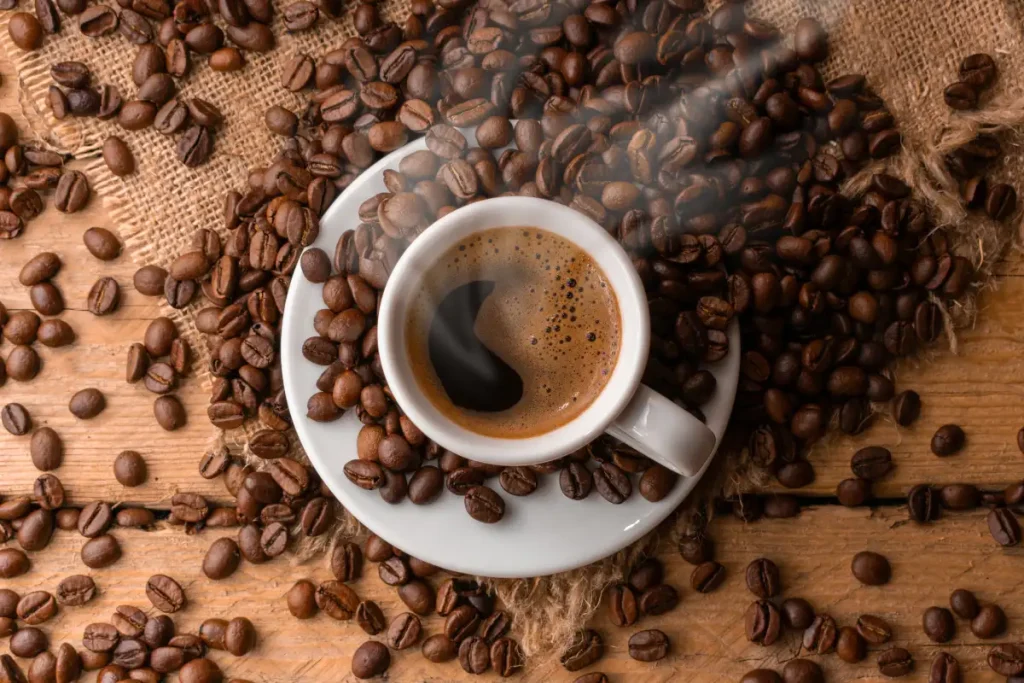 Café para bares en Valencia