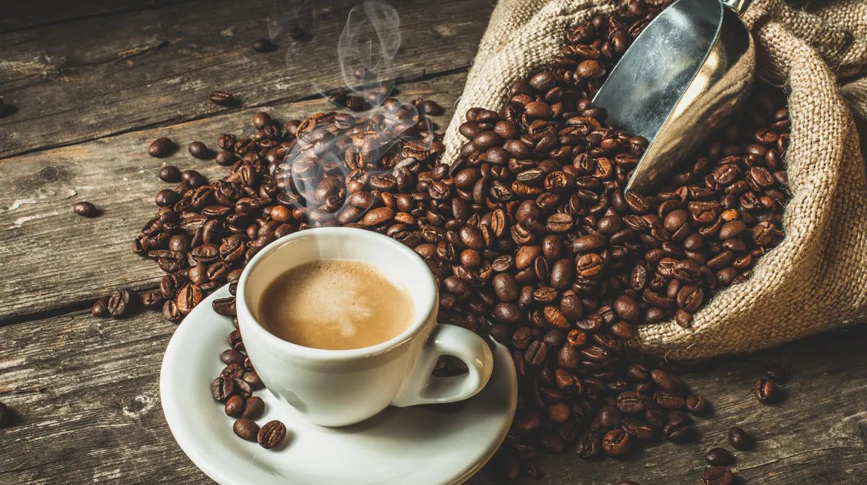 Empresa de venta de café en Valencia